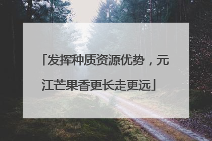 发挥种质资源优势，元江芒果香更长走更远